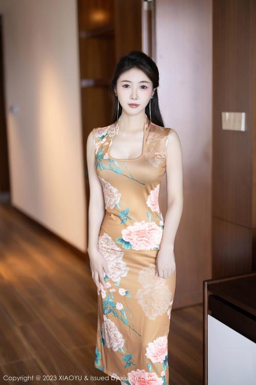 人妻少妇精品视频一区二区的相关介绍