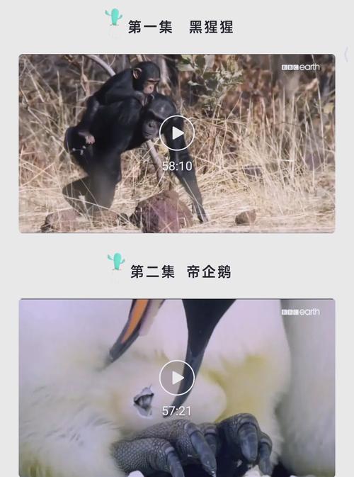 男插女青青影院的相关介绍