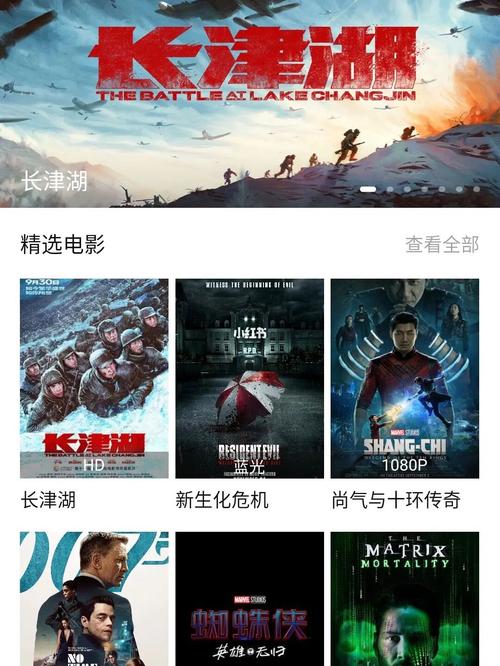 薇薇影院视频免费的相关介绍