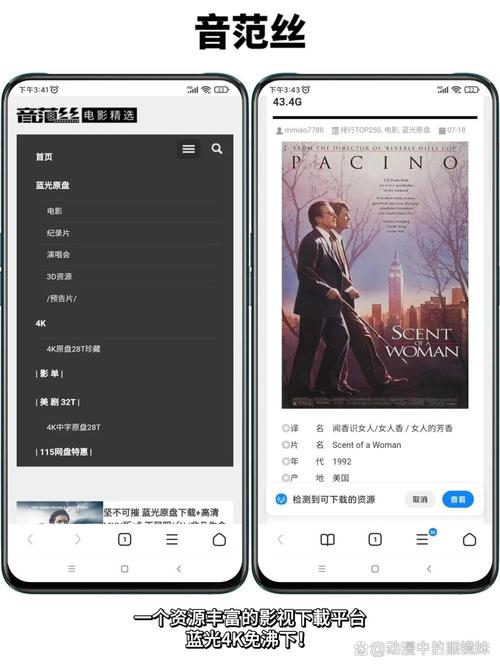 女性下体分泌物黄绿色像豆腐渣是什么的相关介绍