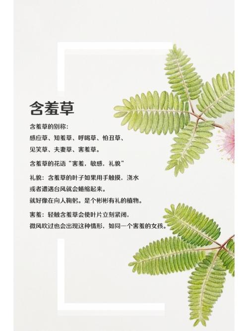 色久悠悠伊人综合影院 - 高清影视在线播放平台，免费追剧、热门大片、动漫综艺一站式观看