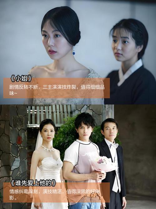 色情影院的相关介绍