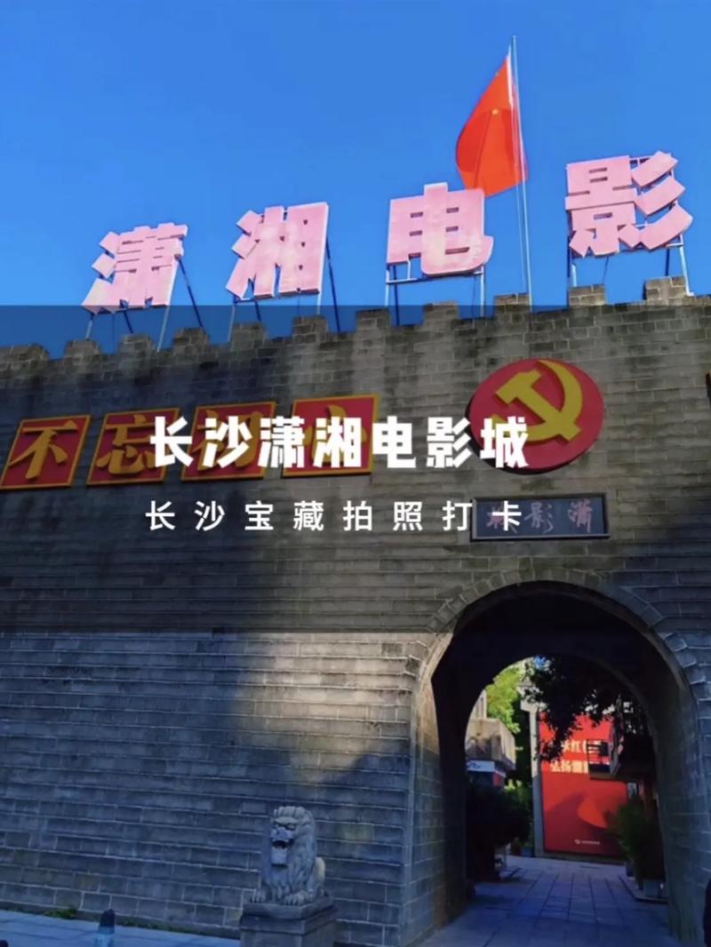 可以下载任何视频的app的相关介绍