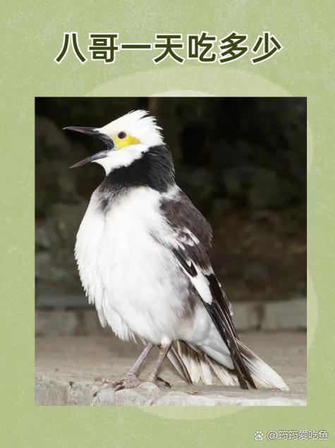 欧美色系久久的相关介绍