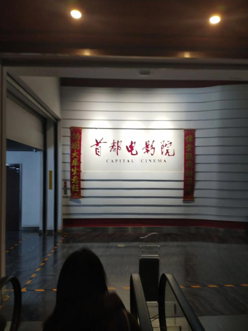 大乳秘书的相关介绍