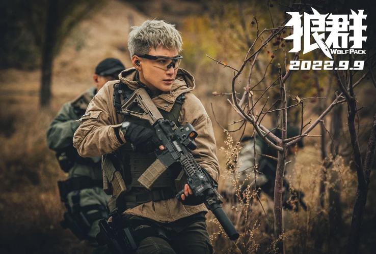 老司机电影院的相关介绍