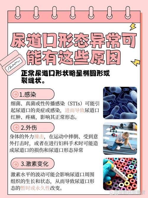 亚洲男人网天堂的相关介绍