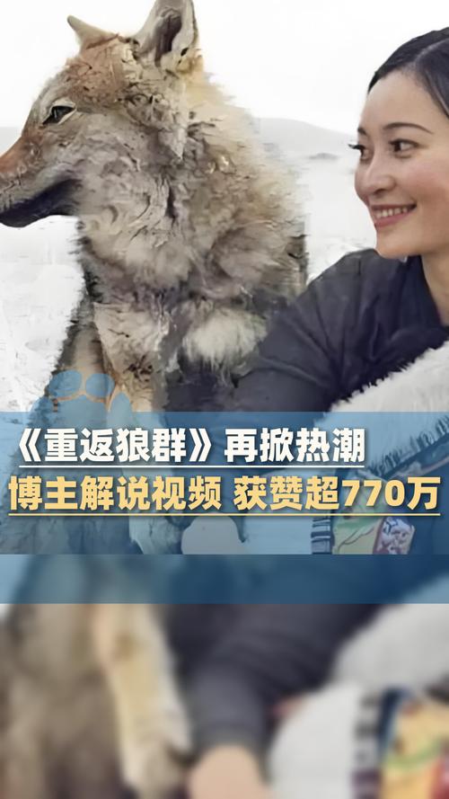 魅力影院的相关介绍