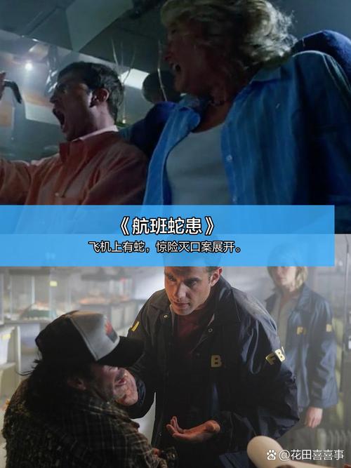 国产精欧美一区二区三区久久久的相关介绍