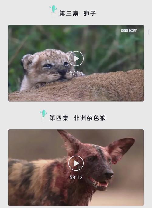 久久久激情影院的相关介绍