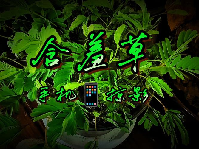 eeuss影院免费最电影的相关介绍