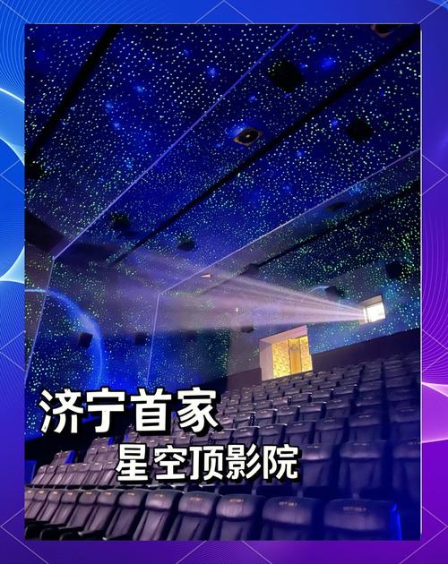 女奴调教高h小说的相关介绍