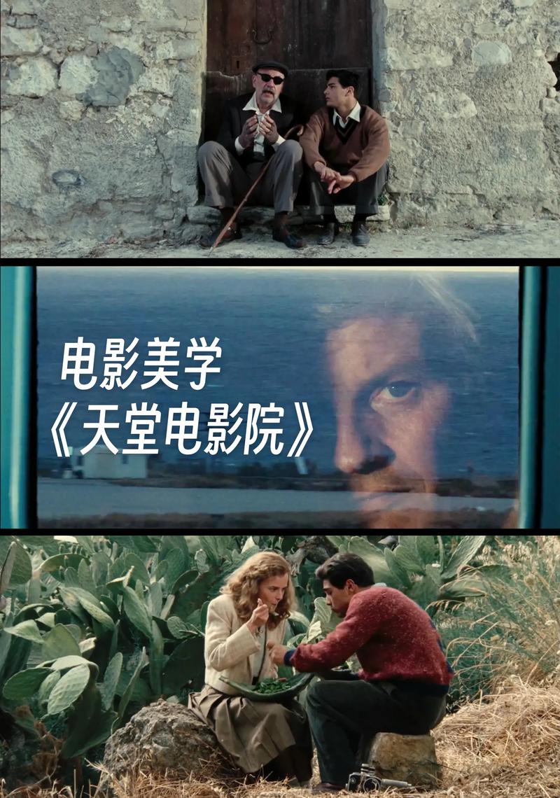 久久精品久久亚洲av的相关介绍