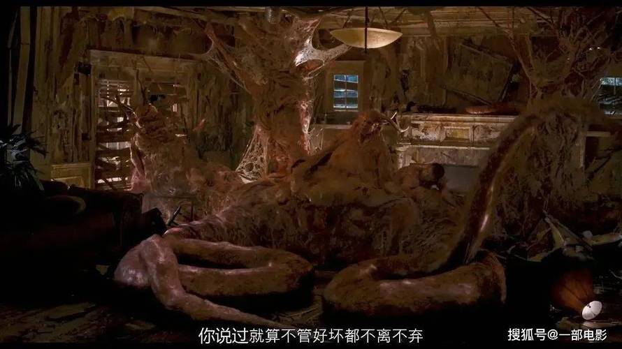 5d影院加盟的相关介绍