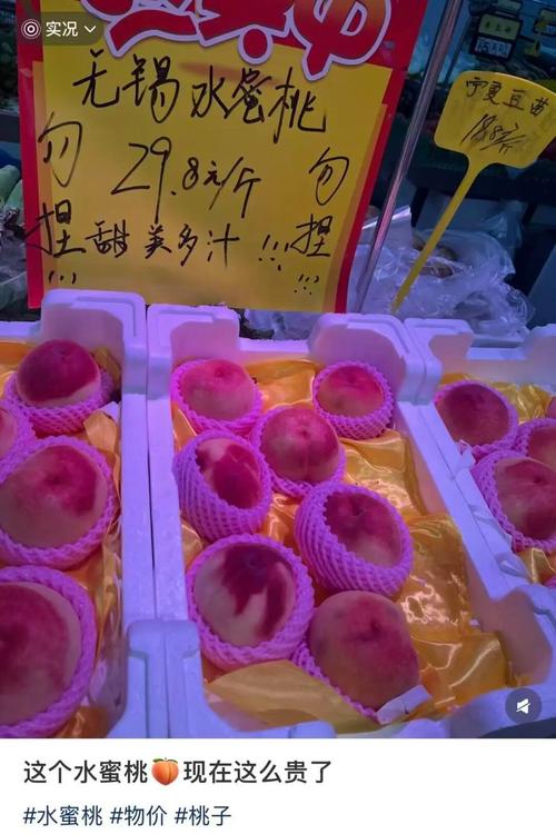 18勿进app的相关介绍
