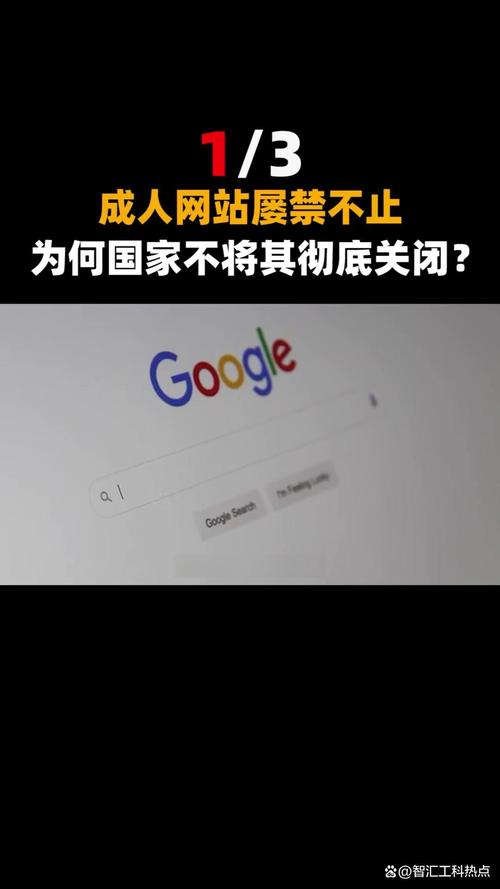 精品国产色夜的相关介绍