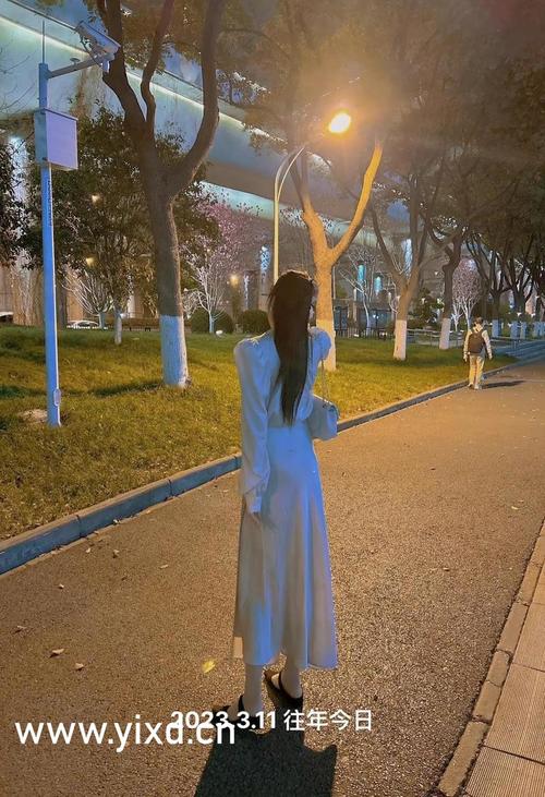 琪琪影院的相关介绍