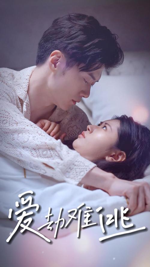 久久久无精品的相关介绍