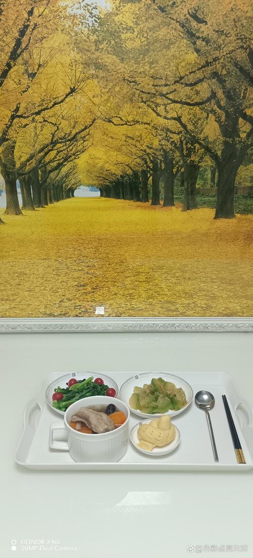 放荡的女人免费看的相关介绍