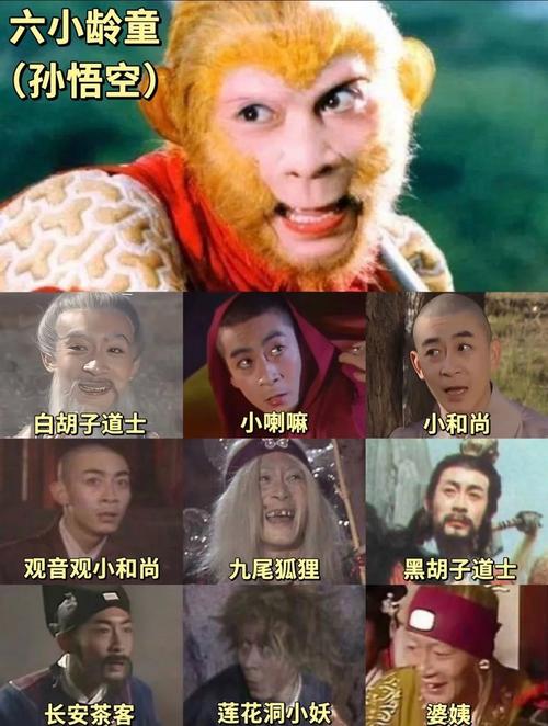荔枝影院的相关介绍