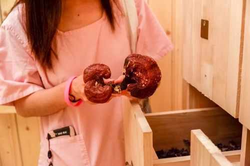 伦理电影院电影网的相关介绍