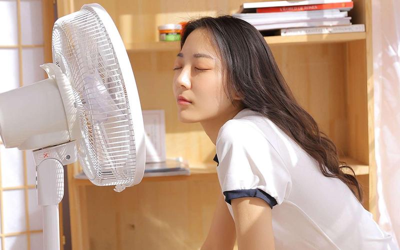 红楼影院的相关介绍