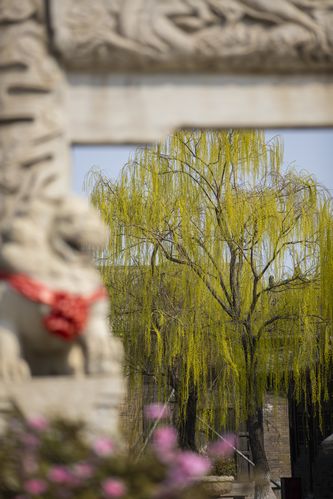 免费高清影院的相关介绍