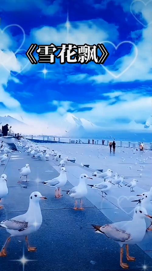 闪闪电影院的相关介绍