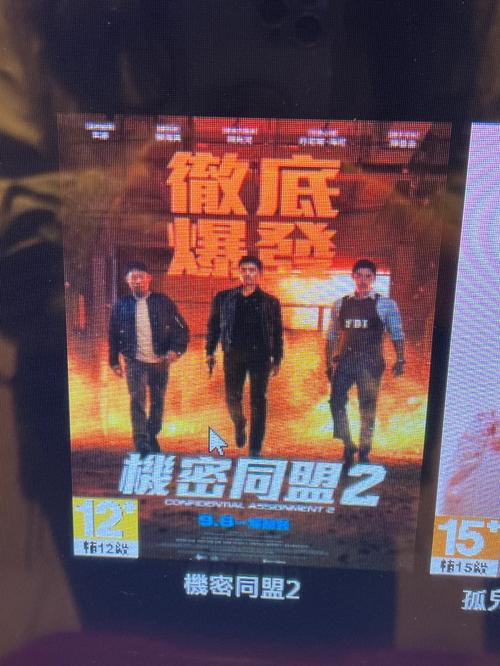 东流影院限制分级解读：成人内容审核标准与观影年龄限制指南 - 东流影院