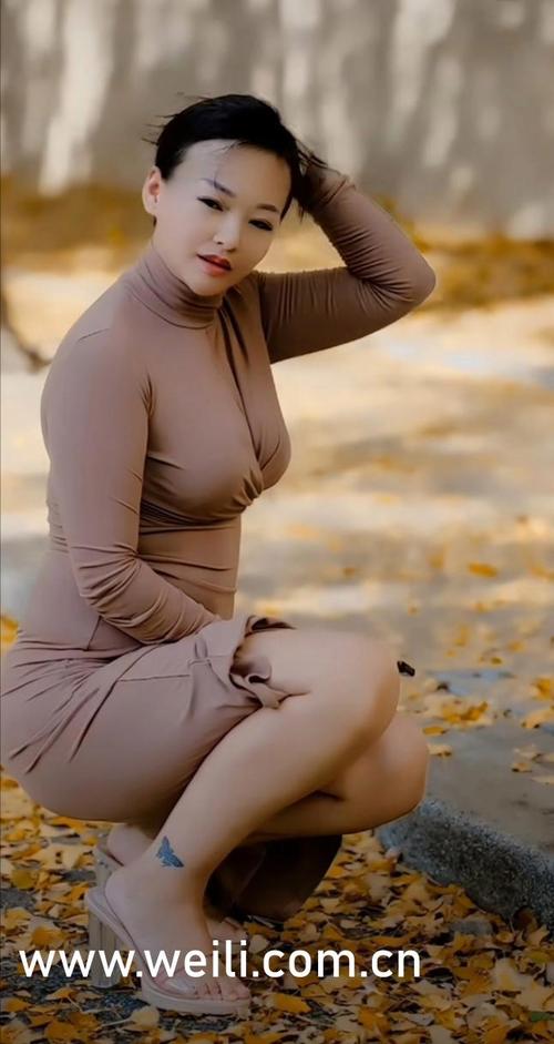 寂寞av少妇的相关介绍
