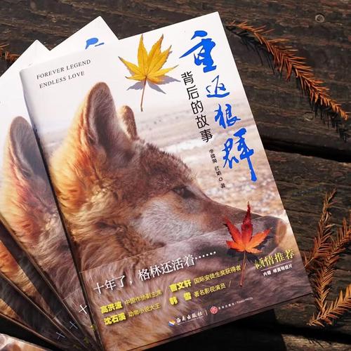 dy8888神马影院网的相关介绍