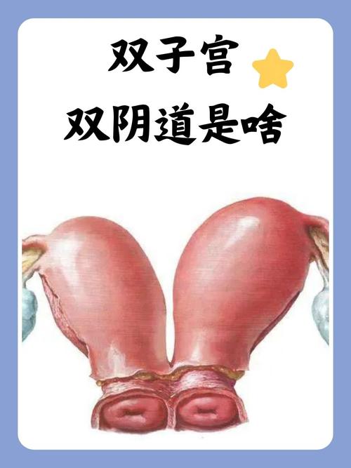 强占美艳人妻h的相关介绍