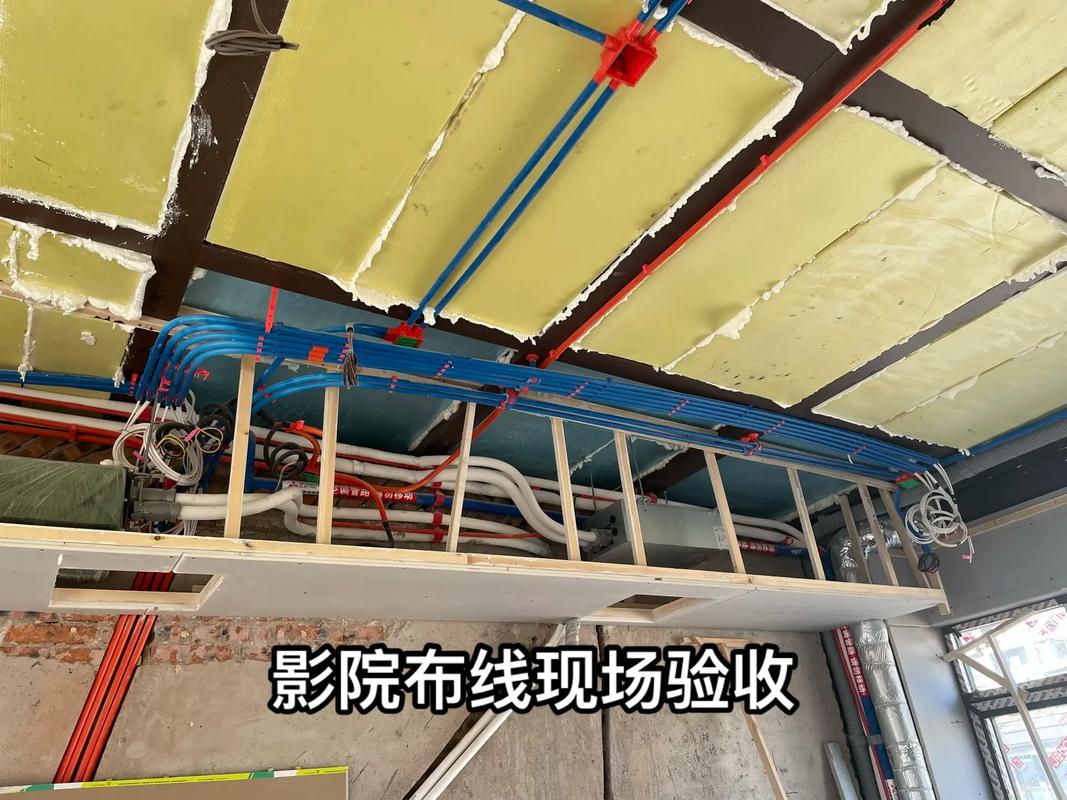 熟女免费一级片的相关介绍