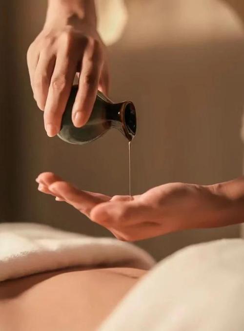 在线h欧美的相关介绍