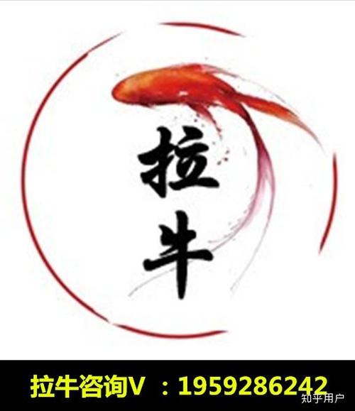 国产SE精品实战教程：手把手教你高效优化长尾关键词排名与流量提升