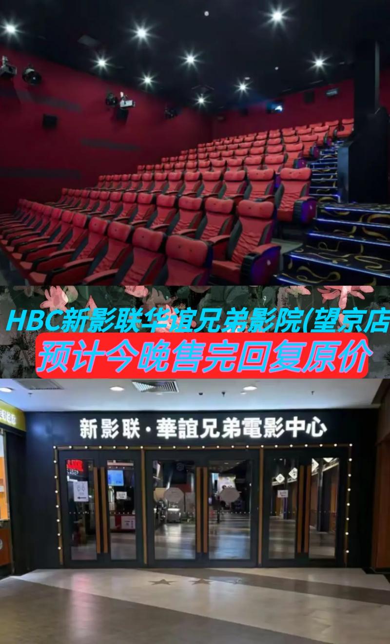 91精品久久久久久久久不卡网站的相关介绍