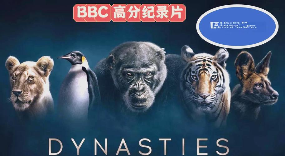 操动漫逼的相关介绍