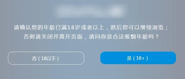 根据您的要求，生成一个符合SEO规范且包含3个长尾关键词的标题如下：

**访问“18禁止进入网站”的后果：如何识别违规站点与青少年网络安全防护指南**  
（长尾关键词：18禁止进入网站、识别违规站点、青少年网络安全防护）