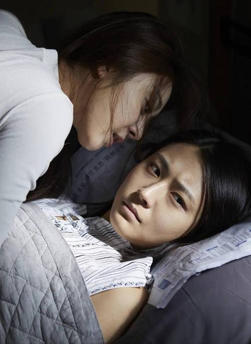 女人舔女人的逼的免费视频的相关介绍