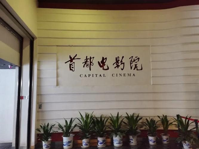 51影院1000的相关介绍