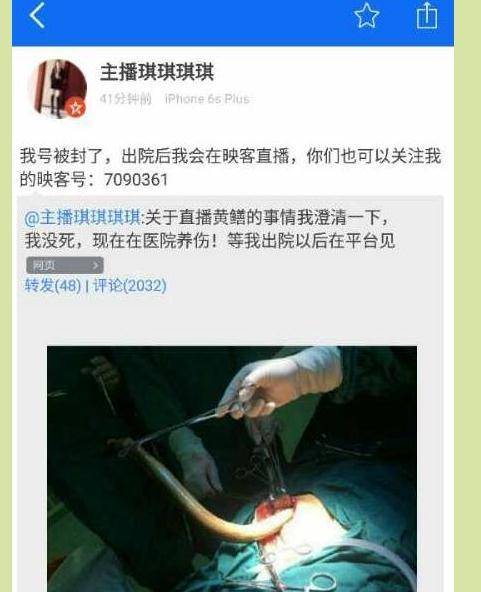 中年人妻,耸动,激烈,官场小说的相关介绍