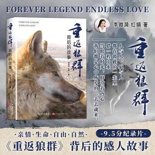 小小影院电视剧免费观看的相关介绍