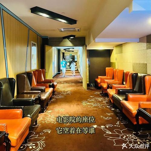 午夜影院0606免费的相关介绍