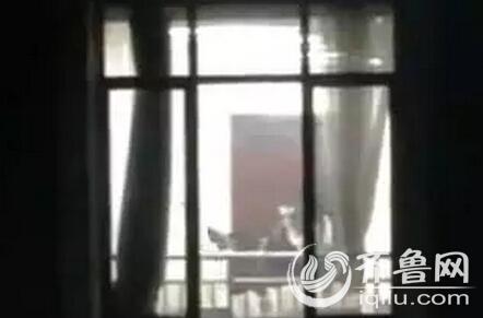 梅州电影院的相关介绍