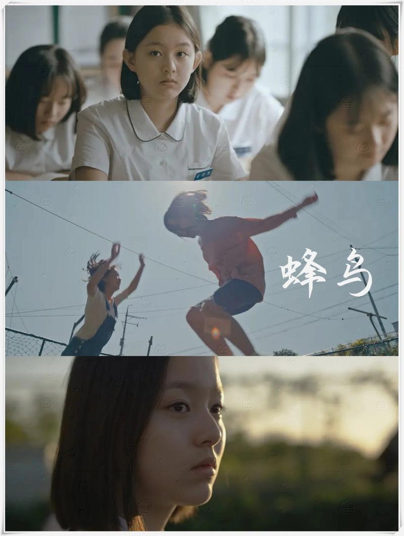 蜂鸟影院在线观看电影 | 2025最新高清大片免费播放平台推荐（无广告/流畅观影/独家片源）
