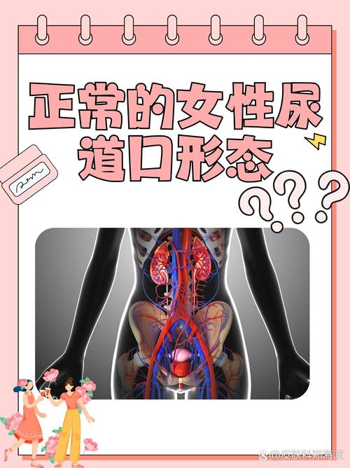 奇米影视777四色米奇影院的相关介绍