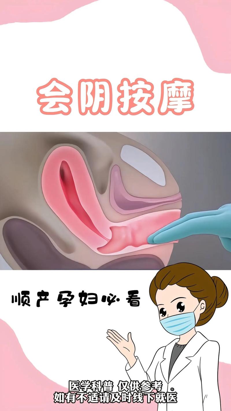 星光影院网在线观看的相关介绍