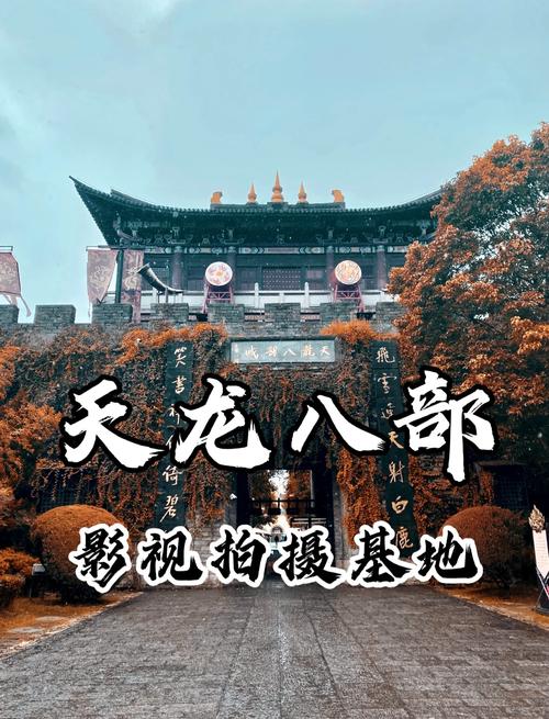 老子影院午夜伦不卡的相关介绍