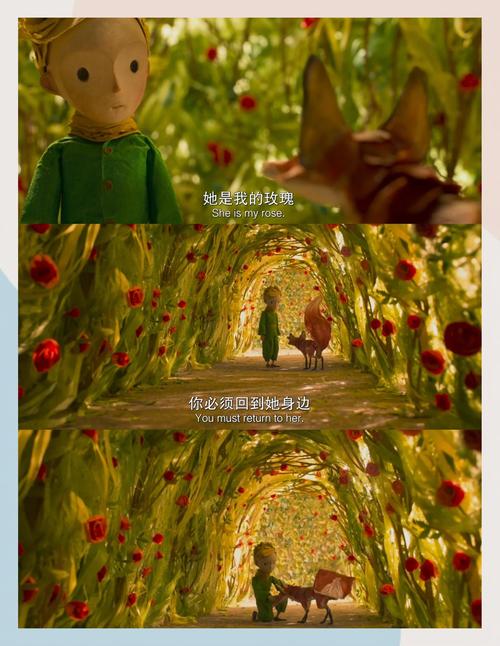一起射一起日在线影院的相关介绍